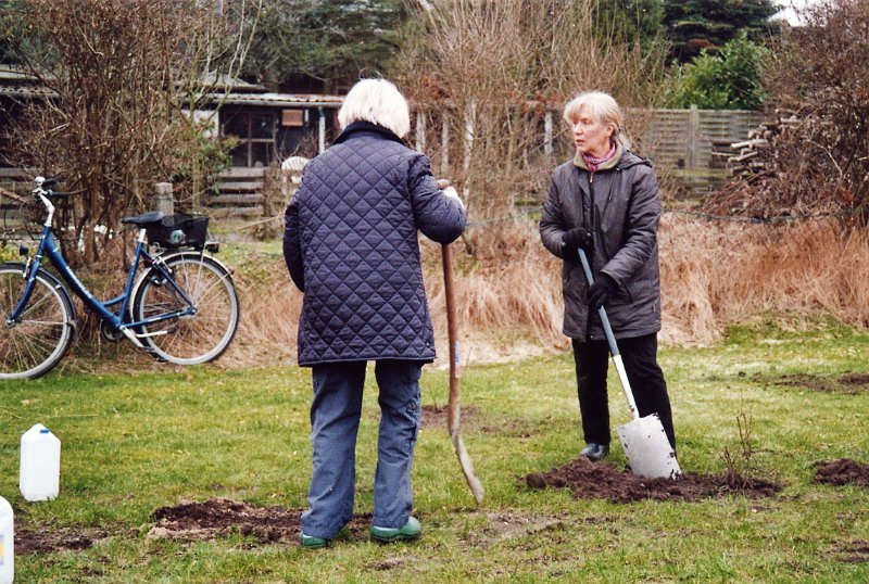 27.Maerz 2010,0011.jpg